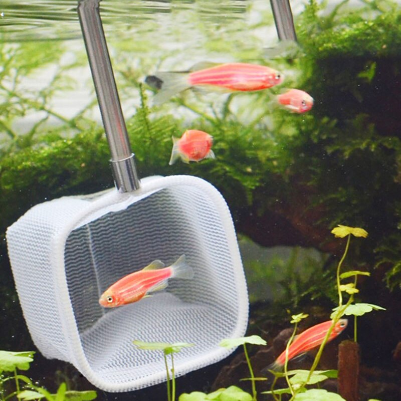 Retractable 3D Aquarium Fish Tank Catch Net - Stainless Steel Rod Fishing Round Square Pocket Shrimp Catching Nets 18-53CM