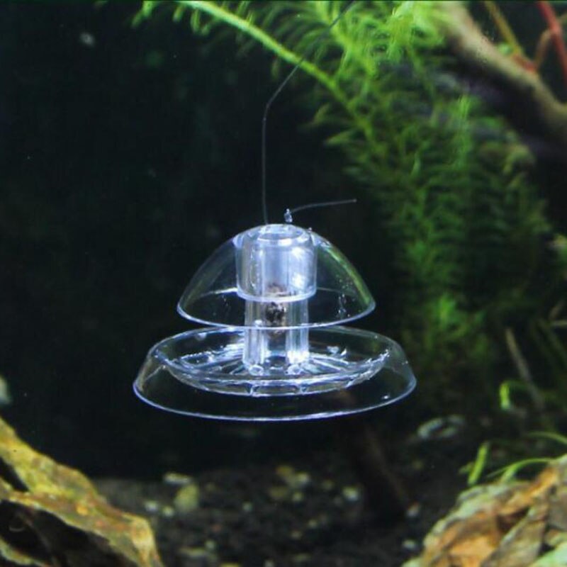 Aquarium Fish Plant Tank Plastic Clear Snail Trap Catcher - Plants Pest Catch Box Leech - Environment Clean Tool