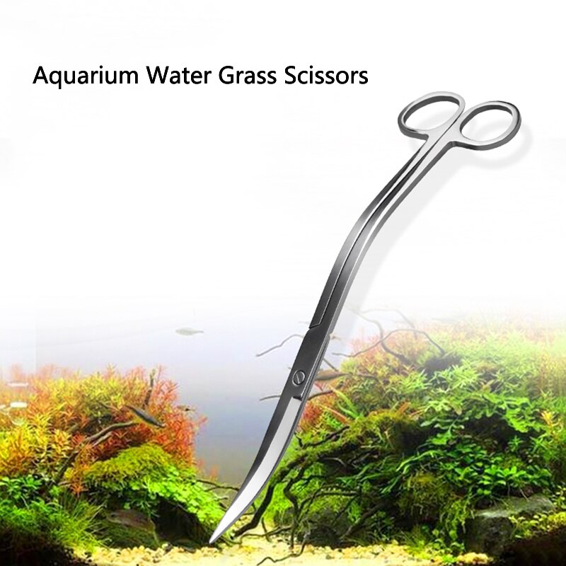 Stainless Steel Curved Aquarium Scissor | Aquarium Plants Shrimp Reef Scissor | Fish Tank Cleaner | Aquarium Accessories