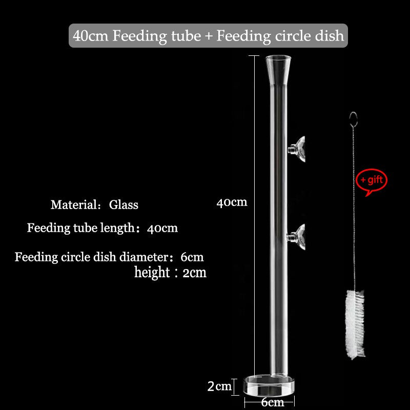 Transparent Glass Aquarium Feeder | Convenient Feeding Solution for Shrimp and Small Fish | Prevents Penetration into Sand Layer