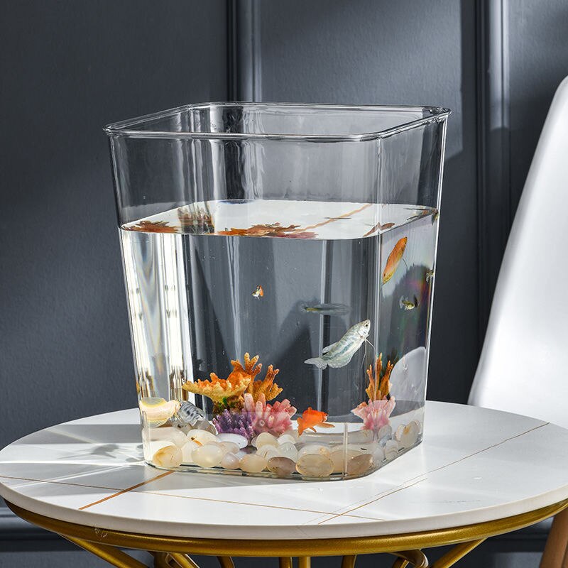 PET Aquarium Box | Plastics Ultra-White Organic Glass | Small Ecological Water Tank