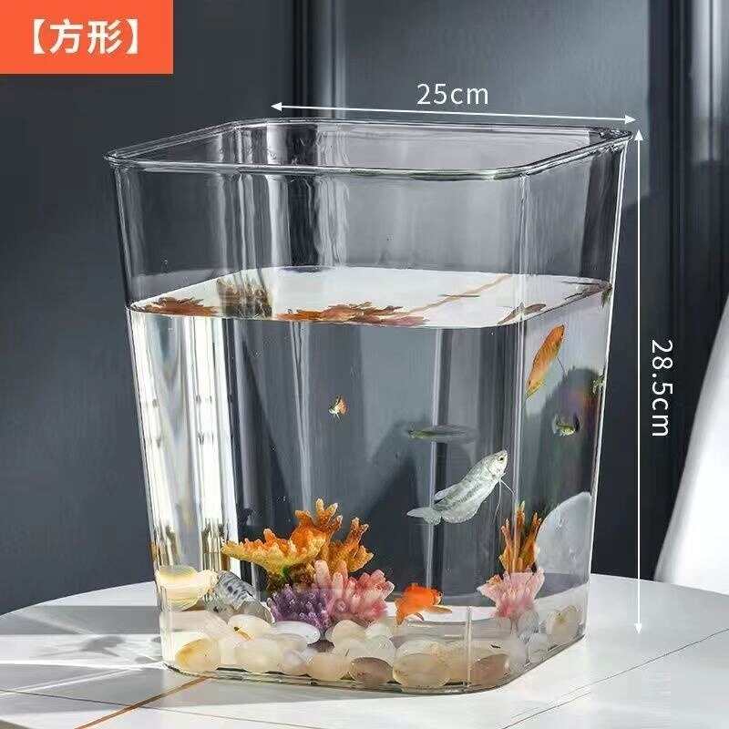 PET Aquarium Box | Plastics Ultra-White Organic Glass | Small Ecological Water Tank