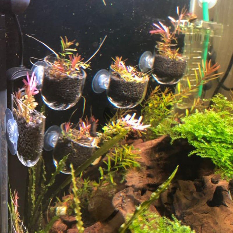 Aquarium Decoration Hanging Fish Tank Mini Crystal Glass Pot | Planting Cylinder Cup for Water Grass | Aquarium Accessories