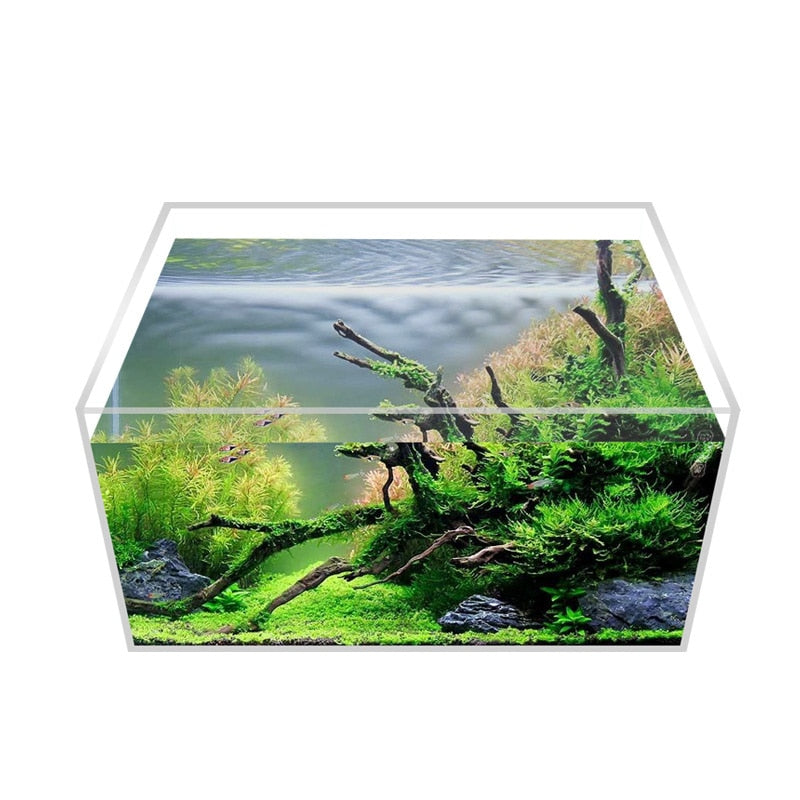 High Transparent Acrylic Fish Tank | Durable, Portable, and Customizable | Perfect for Wall or Table Placement