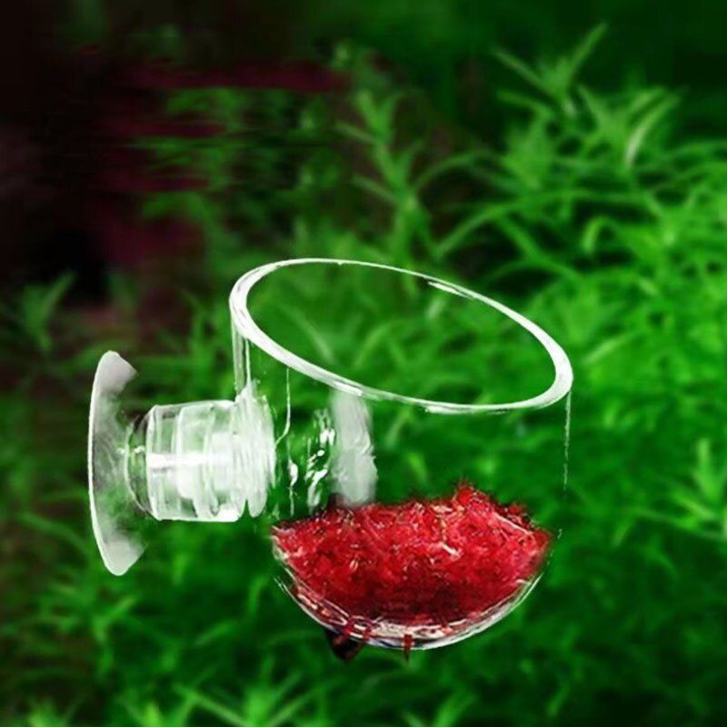 Aquarium Decoration Hanging Fish Tank Mini Crystal Acrylic Glass Pot | Polka Water Planting Cylinder Cup | Feeding Accessories