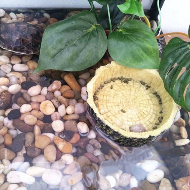 Resin Aquarium Pet Reptile Feeder Bowl Basin | Food Water Pot for Reptiles, Turtles, Tortoises, Scorpions, Lizards, and Crabs