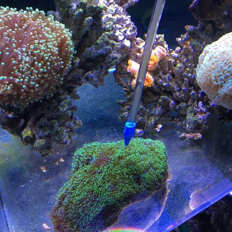 1Pcs Acrylic Coral Feeder Tube | Aquarium Coral Dispensing Feeder | Feeding Tool for Marine Fish and Organisms